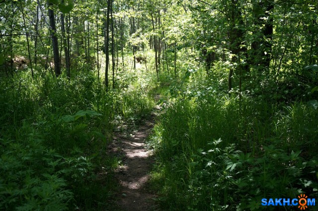 DSC09275
Фотограф: vikirin

Просмотров: 1499
Комментариев: 0