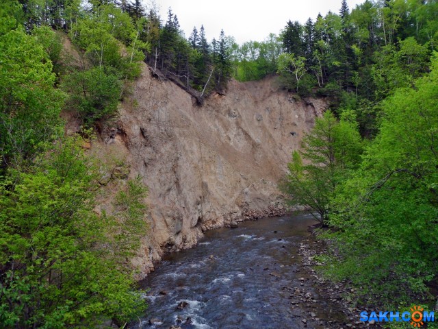 IMG_7356

Просмотров: 525
Комментариев: 0