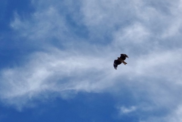 DSC04470
Фотограф: Сергей Буркацкий

Просмотров: 518
Комментариев: 0