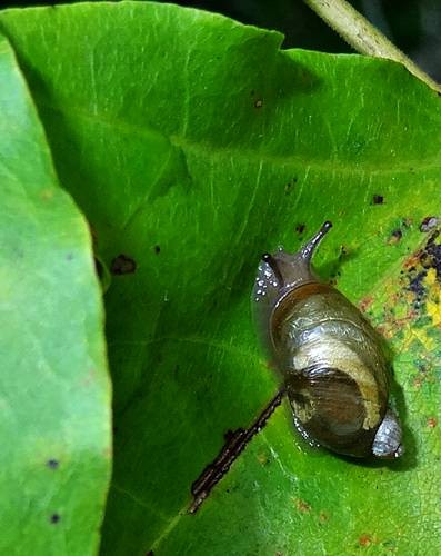 DSC03533
Фотограф: Сергей Буркацкий

Просмотров: 501
Комментариев: 0