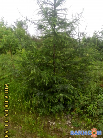 Фото KPECT