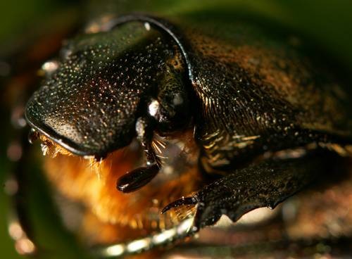 DSC05537
Фотограф: Сергей Буркацкий

Просмотров: 393
Комментариев: 0