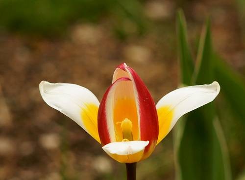 DSC04915
Фотограф: Сергей Буркацкий

Просмотров: 444
Комментариев: 0