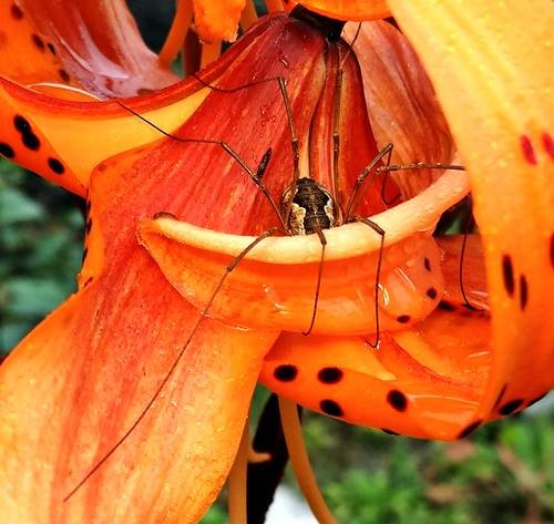 DSC03641
Фотограф: Сергей Буркацкий

Просмотров: 460
Комментариев: 0