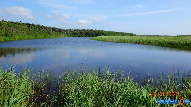 DSC04935