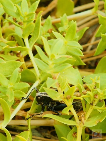 ***
Фотограф: Сергей Буркацкий

Просмотров: 498
Комментариев: 0