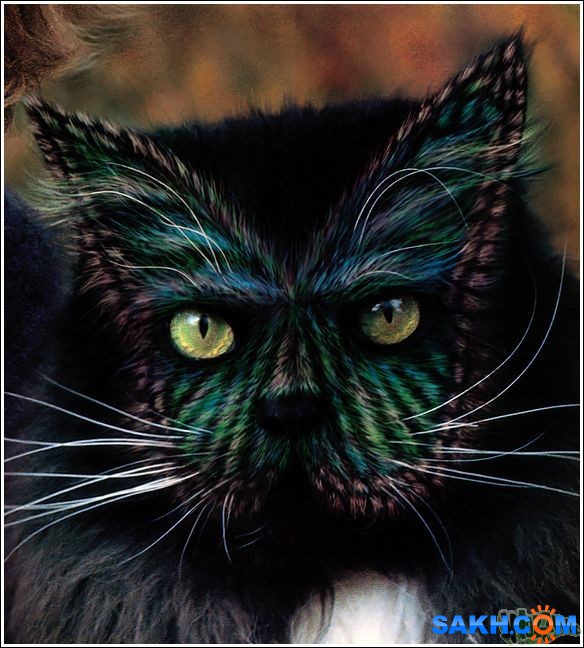 34
Фотограф: synthetic

Просмотров: 311
Комментариев: 0