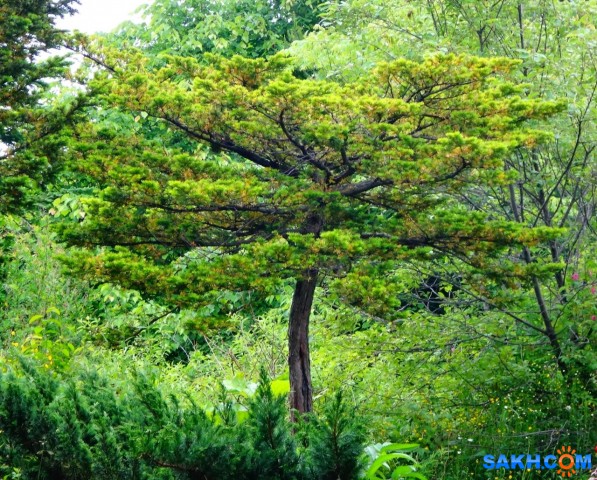 DSC02288

Просмотров: 449
Комментариев: 0