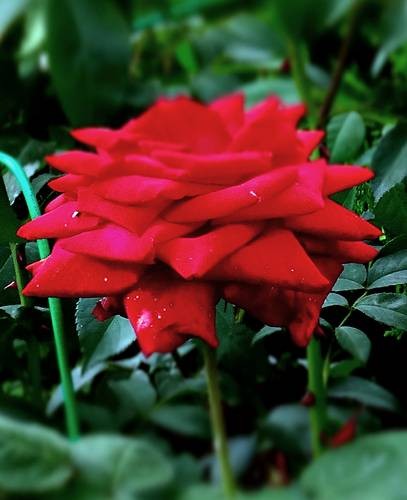 DSC00440
Фотограф: Сергей Буркацкий

Просмотров: 312
Комментариев: 0