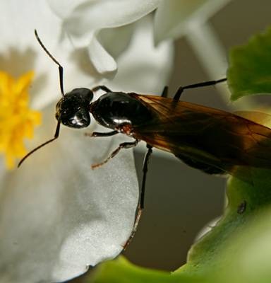 DSC05499
Фотограф: Сергей Буркацкий

Просмотров: 370
Комментариев: 0