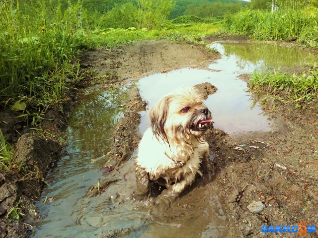 IMG411-01

Просмотров: 990
Комментариев: 0