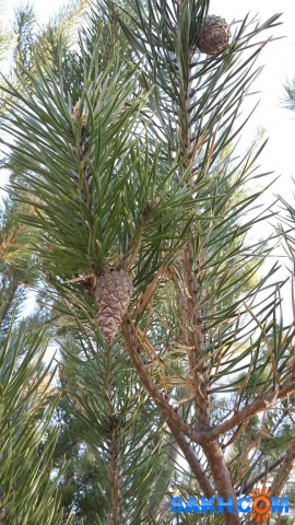 BrVqiA09Sao

Просмотров: 226
Комментариев: 0