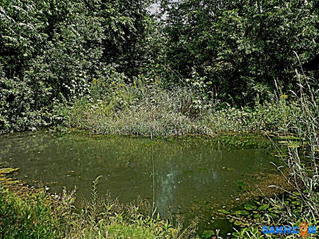 P1210749

Просмотров: 404
Комментариев: 0