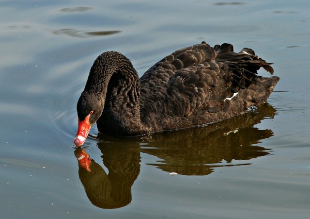 ***
Фотограф: Сергей Буркацкий

Просмотров: 1208
Комментариев: 0