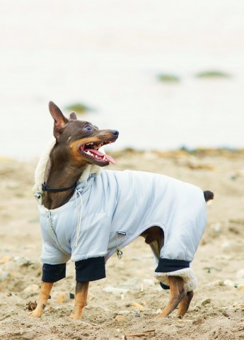 ***
Фотограф: Сергей Буркацкий

Просмотров: 1302
Комментариев: 0