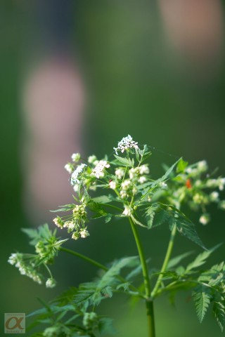 ***
Фотограф: Сергей Буркацкий

Просмотров: 887
Комментариев: 0