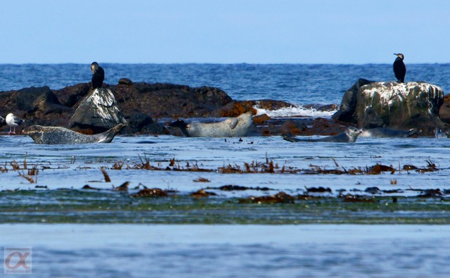 ***
Фотограф: Сергей Буркацкий

Просмотров: 1606
Комментариев: 0
