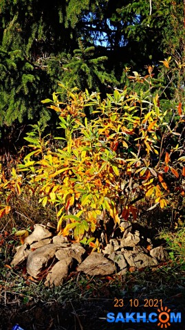 DSC06942

Просмотров: 464
Комментариев: 0