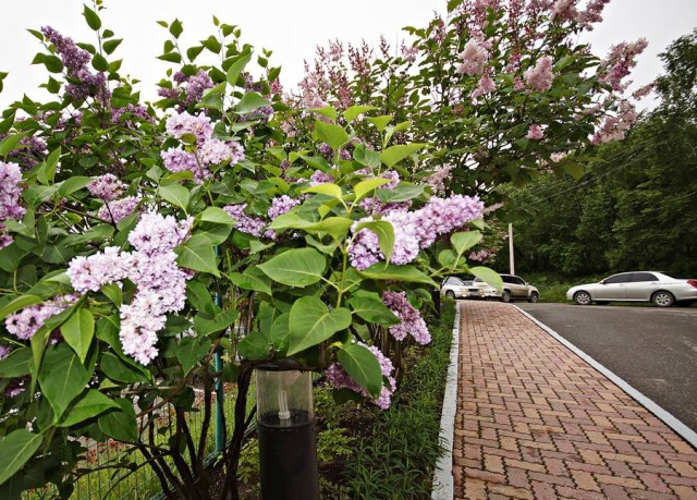 ***
Фотограф: Сергей Буркацкий

Просмотров: 1057
Комментариев: 0