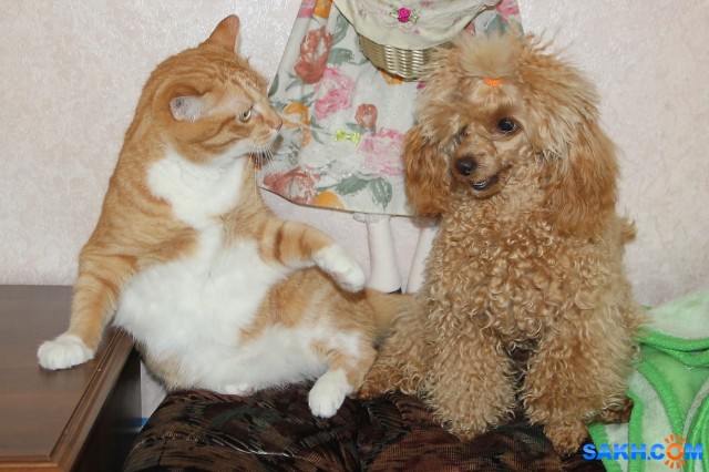 Разговор по душам

Просмотров: 809
Комментариев: 3