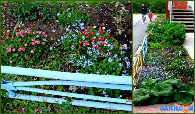 MyCollages

Просмотров: 355
Комментариев: 0