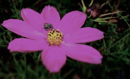 thumb_DSC04263_1024
Фотограф: Сергей Буркацкий

Просмотров: 513
Комментариев: 0