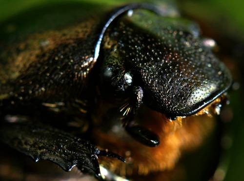 DSC05538
Фотограф: Сергей Буркацкий

Просмотров: 366
Комментариев: 0