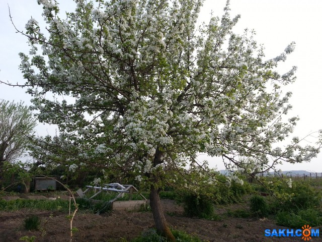 20140602_202042