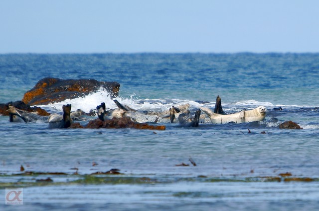 ***
Фотограф: Сергей Буркацкий

Просмотров: 1068
Комментариев: 0