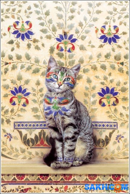 4
Фотограф: synthetic

Просмотров: 276
Комментариев: 0