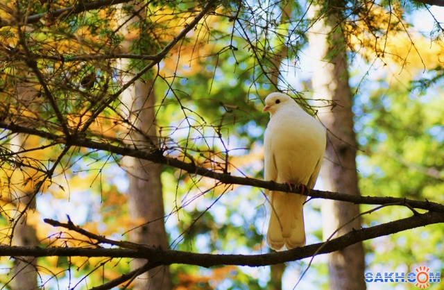 ***
Фотограф: Сергей Бурацкий

Просмотров: 1671
Комментариев: 4