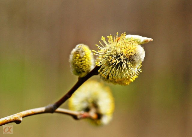 **
Фотограф: Сергей Буркацкий

Просмотров: 1126
Комментариев: 0
