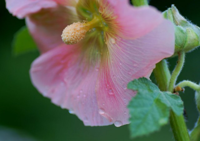 ***
Фотограф: Сергей Буркацкий

Просмотров: 960
Комментариев: 0