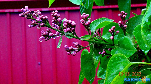 DSC09741

Просмотров: 443
Комментариев: 0