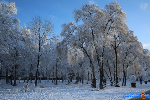 015

Просмотров: 510
Комментариев: 0