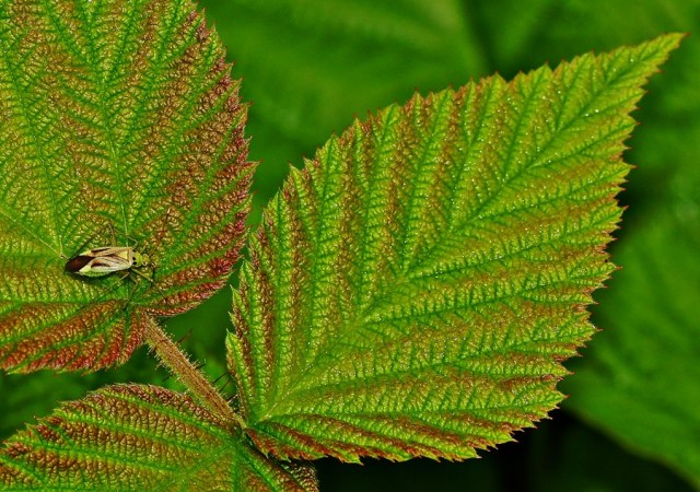 ***
Фотограф: Сергей Буркацкий

Просмотров: 726
Комментариев: 0