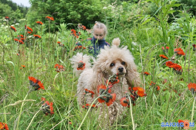 лето

Просмотров: 2054
Комментариев: 0
