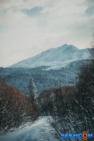Гора Иркир, Набильские горы
Фотограф: uver

Просмотров: 1771
Комментариев: 0