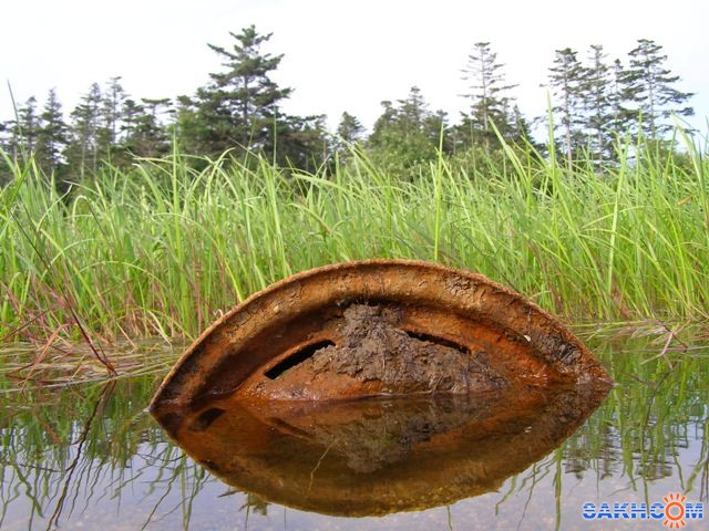 На озере
Фотограф: фотохроник

Просмотров: 735
Комментариев: 0