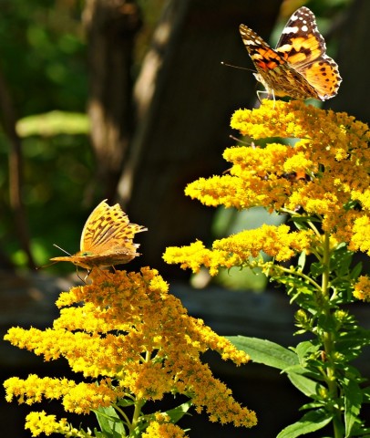 ***
Фотограф: Сергей Буркацкий

Просмотров: 601
Комментариев: 0