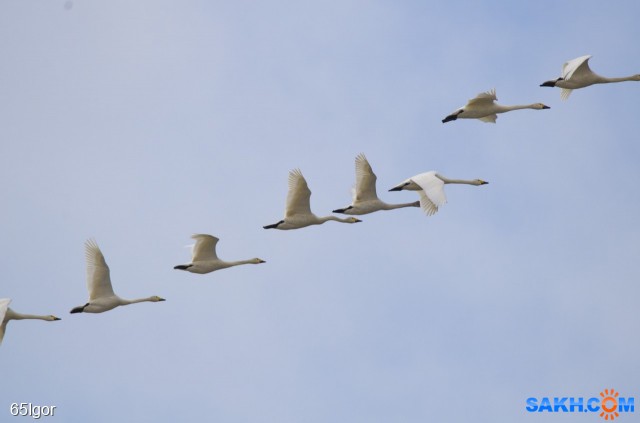 33

Просмотров: 378
Комментариев: 0