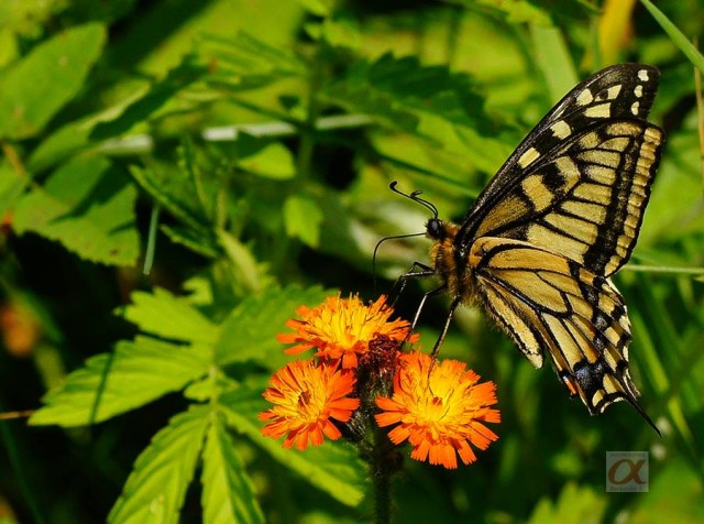 ***

Просмотров: 1085
Комментариев: 0