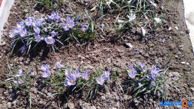 IMG_20140510_144927
Фотограф: mrnsin

Просмотров: 5496
Комментариев: 0