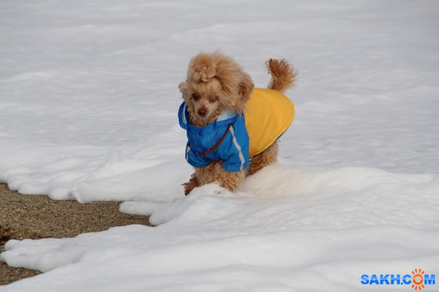 Люся в пене морской

Просмотров: 482
Комментариев: 0