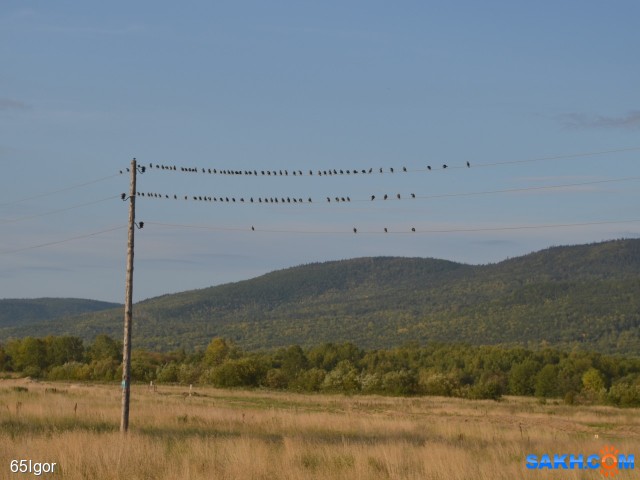 сидельцы
тымовский р-н

Просмотров: 738
Комментариев: 0