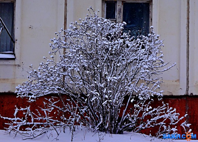 DSC09929

Просмотров: 525
Комментариев: 0