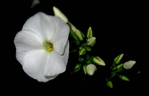 thumb_DSC04279_1024
Фотограф: Сергей Буркацкий

Просмотров: 551
Комментариев: 0