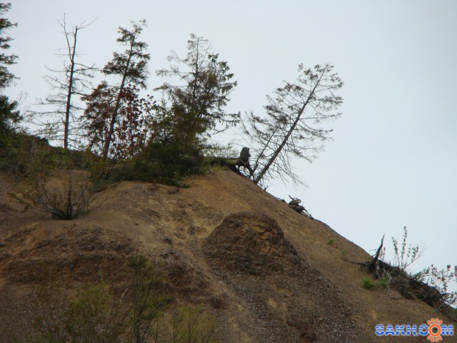 DSC03561
Фотограф: demon

Просмотров: 749
Комментариев: 0