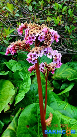 DSC09770

Просмотров: 320
Комментариев: 0