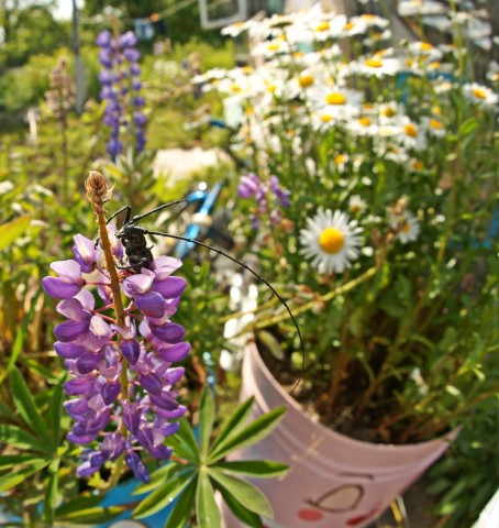 DSC01624
Фотограф: Сергей Буркацкий

Просмотров: 620
Комментариев: 0